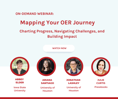 OER Webinar #2 (7)